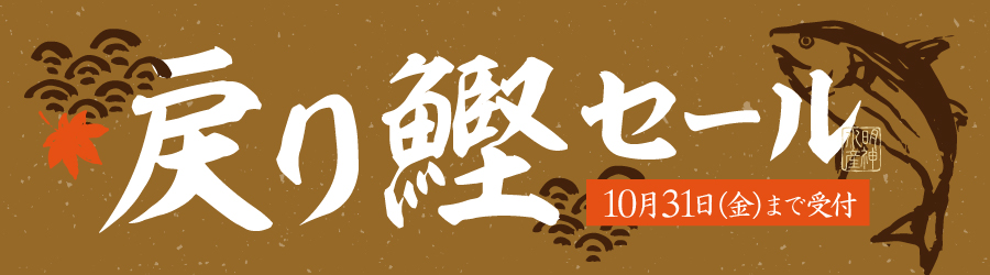 戻り鰹