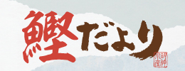 鰹だより